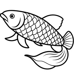 Arowana line art vector