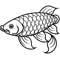 Arowana line art vector