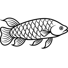 Arowana line art vector