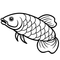 Arowana line art vector