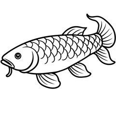 Arowana line art vector