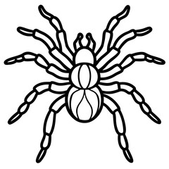 Tarantula Outline Art