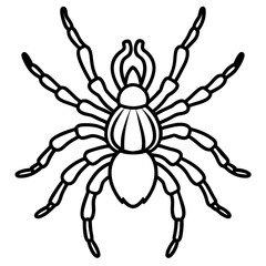 Tarantula Outline Art