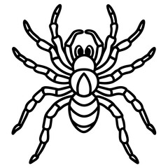 Tarantula Outline Art