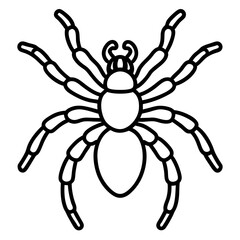 Tarantula Outline Art