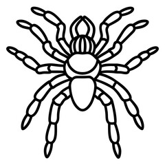 Tarantula Outline Art