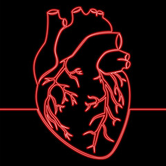 Human Heart Anatomy Medical Illustration of Cardiac Structure icon neon glow vector illustration concept