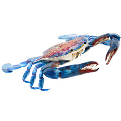 3d render blue crab claw open with transparent background