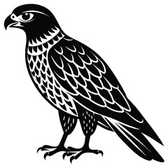 Obraz premium Hawk single bird vector shilhouette 