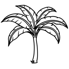 Banana Tree line art vector