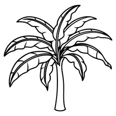 Banana Tree line art vector