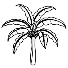 Banana Tree line art vector