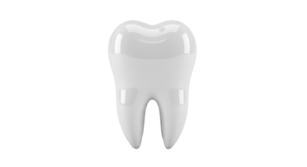 Anatomically correct human tooth isolated PNG with Transparent Background
