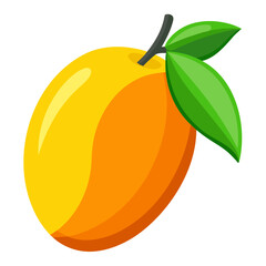 vector illustration of an orange