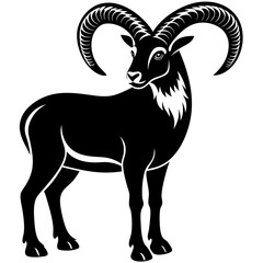 Obraz premium black and white goat
