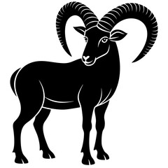 black and white goat
