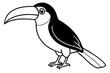 Toucan Outline Design