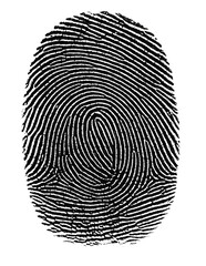 Detailed fingerprint pattern with white outline