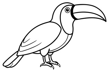 Toucan Outline Design