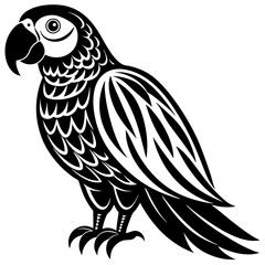 Fototapeta premium vector illustration of an owl