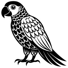 Fototapeta premium vector illustration of a parrot