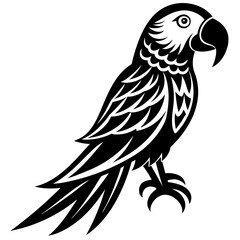 Obraz premium black and yellow macaw