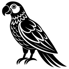 Obraz premium bird of prey