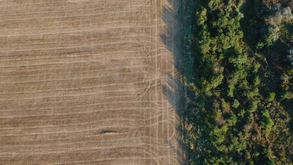 Aerial view of field and woodland highlighting agricultural patterns and natural features