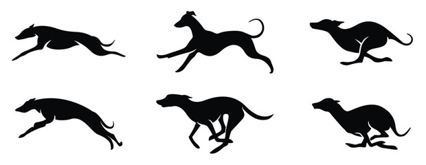High Quality Image of Lively Whippet Dog in Running Pose, Whippet Animals icon set. Greyhound- Dog, domestic pet
vector illustration
