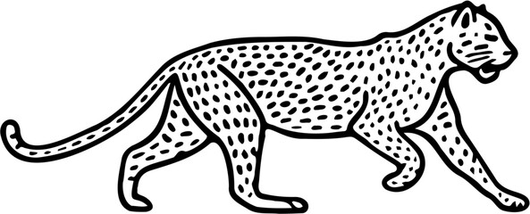 leopard vector illustration, isolated on white