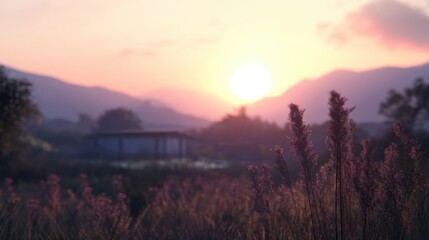 Obraz premium Sunset over grassy field with mountains and soft clouds in autumn