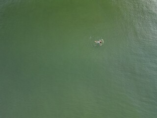 Lone waterfowl floating serenely on mirror-like emerald lake surface captured in high-angle aerial...