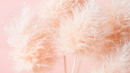 Fototapeta premium Soft pink decorative pom poms placed against a pastel background