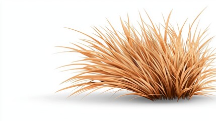 Obraz premium Detailed Digital Render of Tan Ornamental Grass on White
