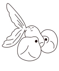 goldfish vector illustration of a fish