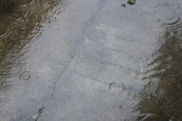 puddles of water due to heavy rain in the yard