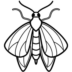 Vintage Moth Engraving