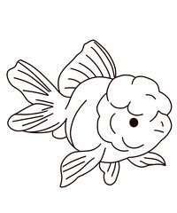 goldfish vector illustration of a fish