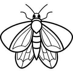 Vintage Moth Engraving