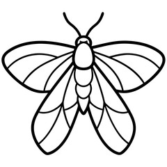 Vintage Moth Engraving