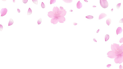 Pink Cherry Blossom Petals Dancing in the Breeze: Exquisite Spring Floral Frame, Pure Natural Background for Serenity and Tenderness, Perfect for Romantic and Refreshing Designs