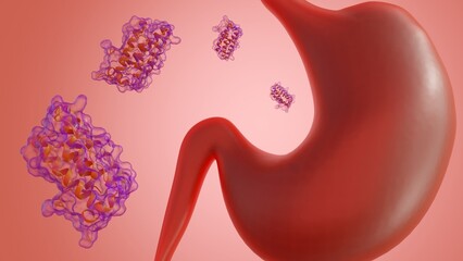A 3d rendering of scattered leptin molecules and human stomach. The stomach is releasing hormones like leptin sends signals to brain, then influences your eating habits.