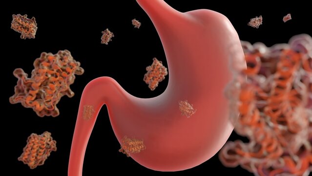 A 3d rendering of scattered leptin molecules and human stomach. The stomach is releasing hormones like leptin sends signals to brain, then influences your eating habits.