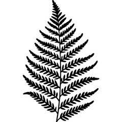 Boston Fern line art vector