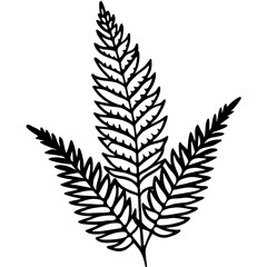 Boston Fern line art vector