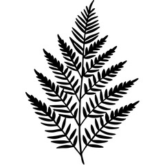 Naklejka premium Boston Fern line art vector