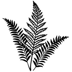 Boston Fern line art vector