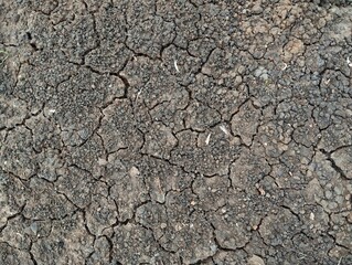 Close up dry and cracked soil surface texure background 