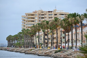 deptak nad morzem palmy