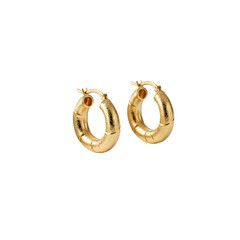 Elegant gold hoop earrings on transparent background